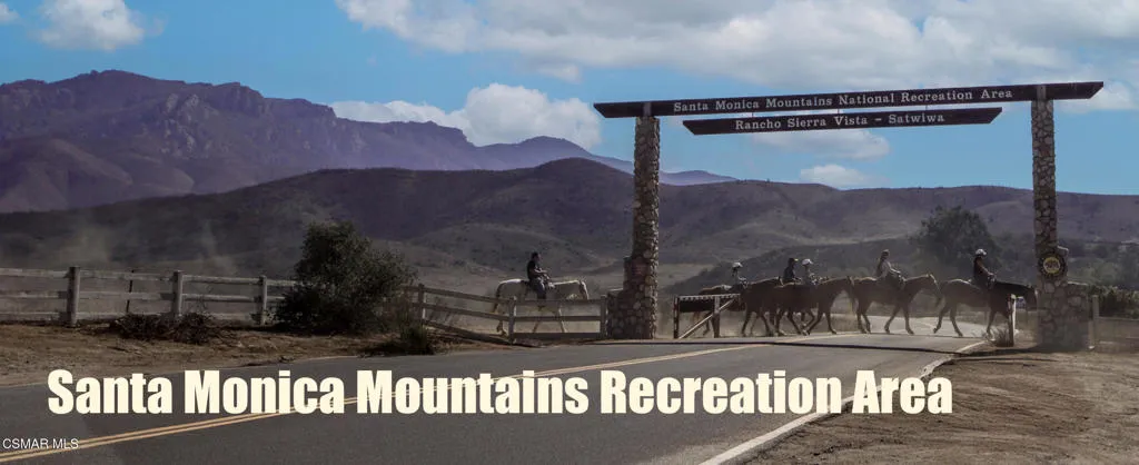 48110206826_3afe058b9d_o copy