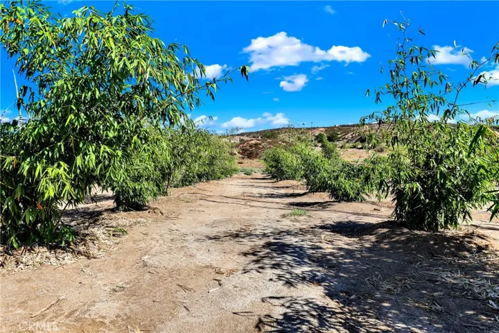 39145 Calle Cordova, Temecula, California 92592