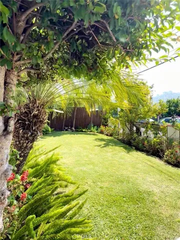 exclusive yard