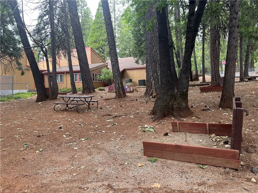 Community Area