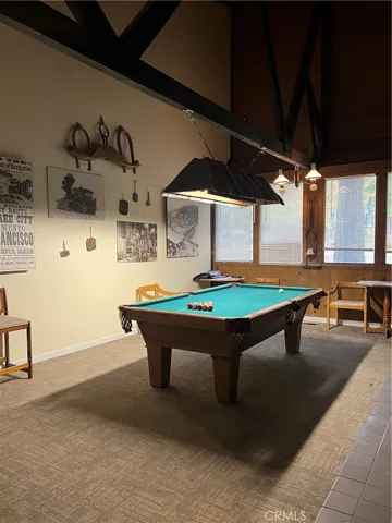PPOA Pool Table