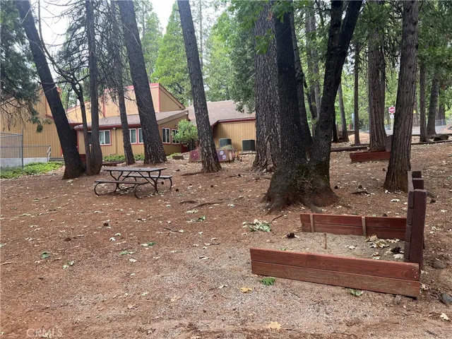 Community Area