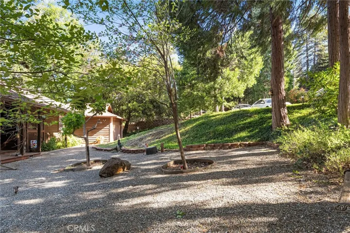 Front Yard