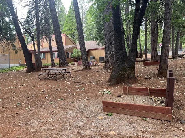 Community Area