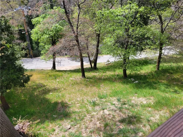 177 Craghill, Cedar Glen, California 92321