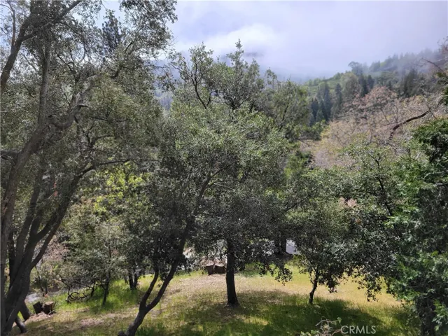 177 Craghill, Cedar Glen, California 92321