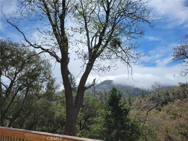 177 Craghill, Cedar Glen, California 92321