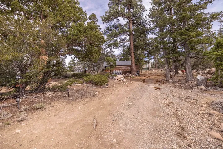 4535 Ironwood, Angelus Oaks, California 92305