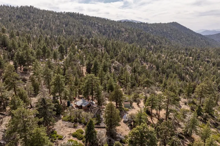 4535 Ironwood, Angelus Oaks, California 92305