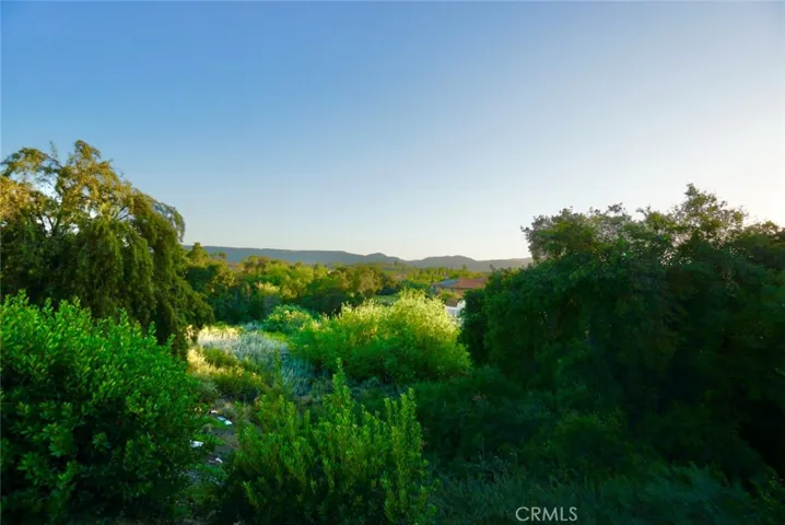 VIEW OF NATURE