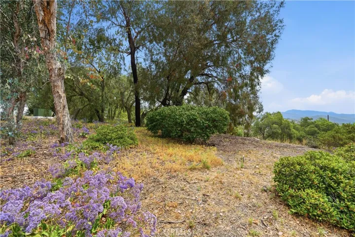 Perfect Spot for an ADU