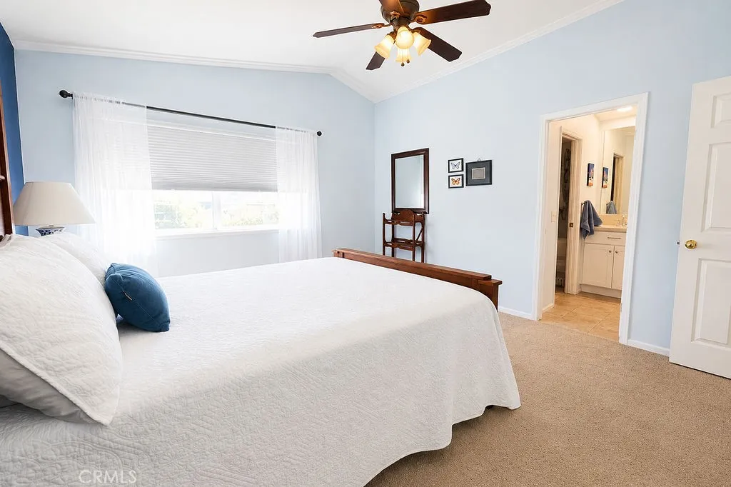 Primary Bedroom #4