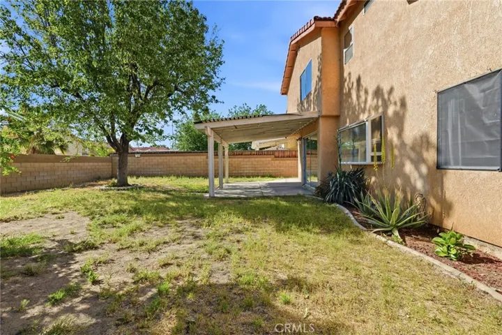 Huge yard