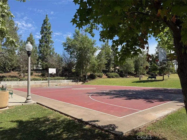 Basketball Court
