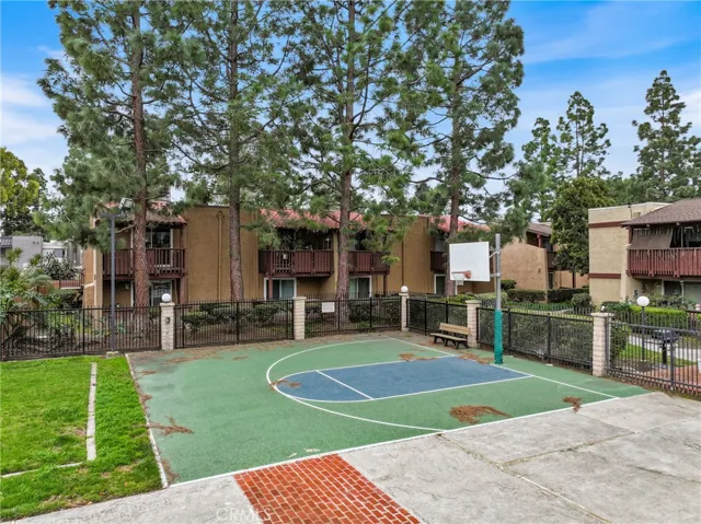 Basketball Courts