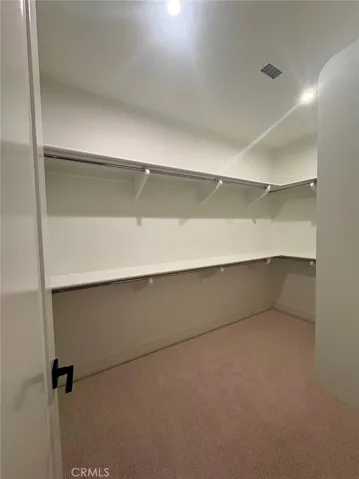 Primary Walk-in Closet