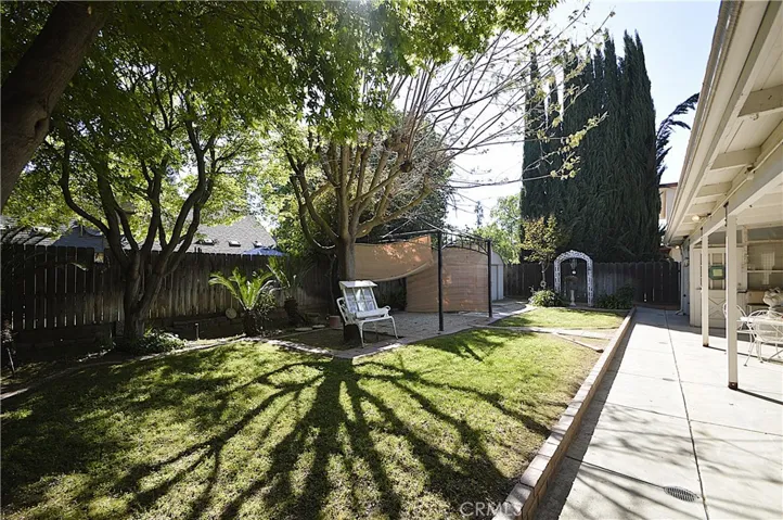 back yard