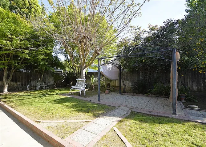 back yard