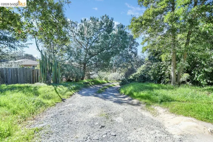 View of dirt / gravel road