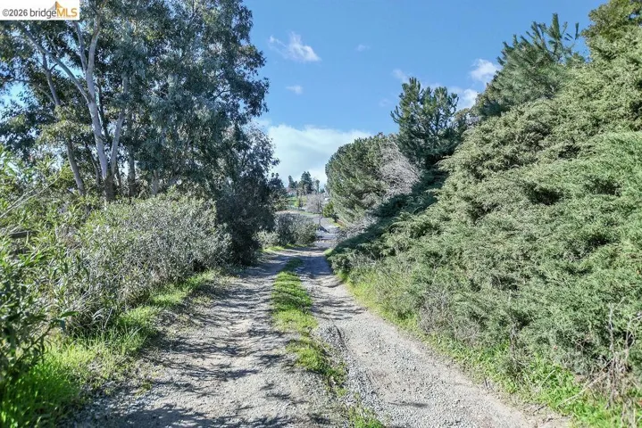 View of road