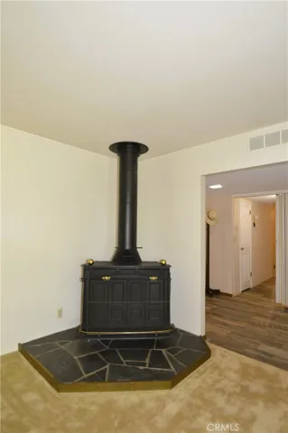 wood burning stove