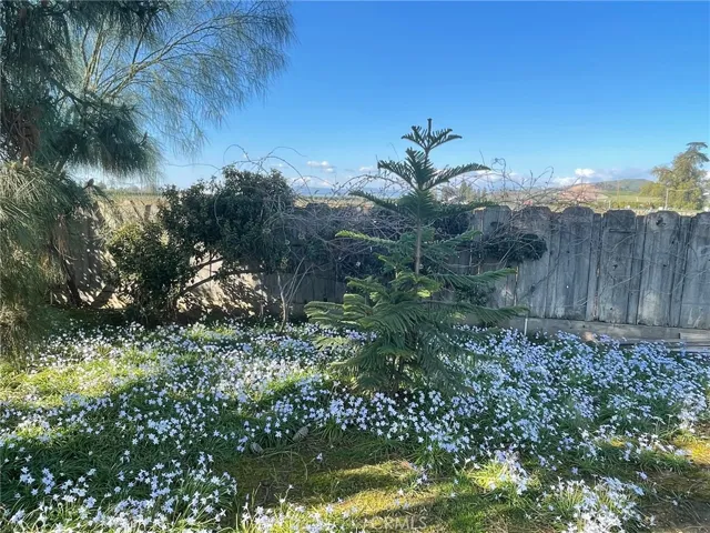 Garden area