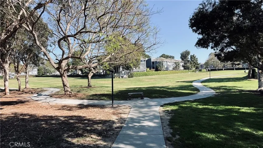 Dog park.