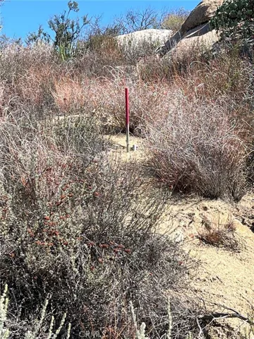 one of lot survey markers