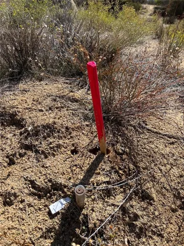 survey marker
