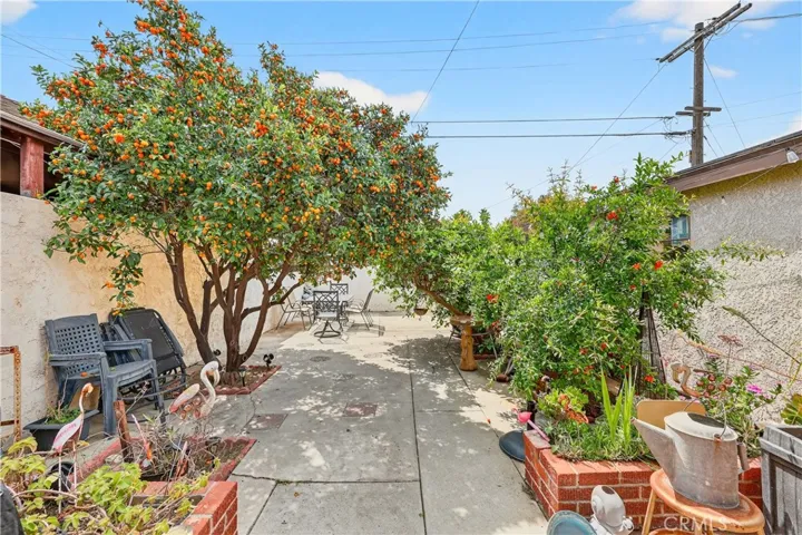 back yard