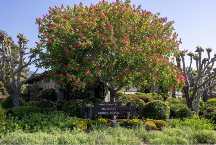 9500 Center Street 57, Carmel, California 93923
