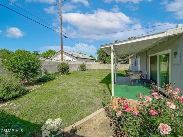 hBackyard1