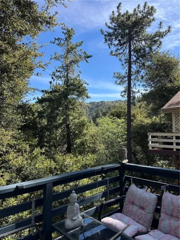 Deck & Views off Living Room
