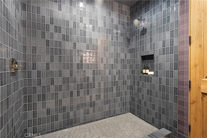 Game Room Shower