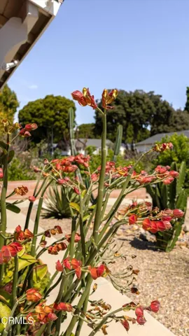 03-173 Bucknell Ave - 3