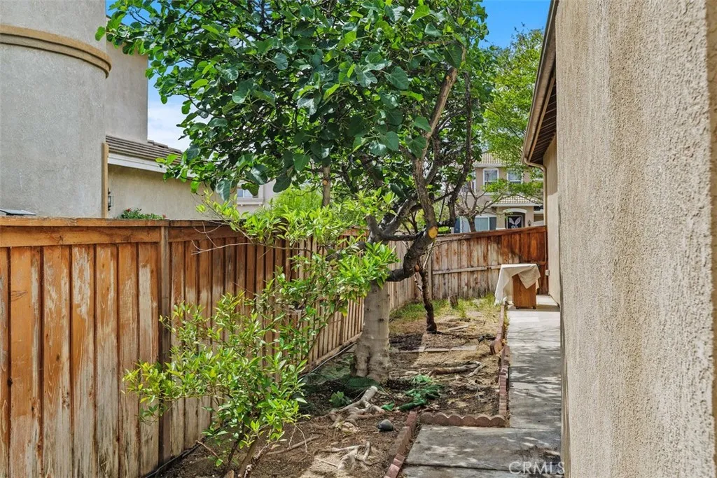 Side yard w/view of fig tree.