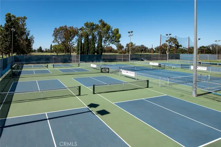 Tennis pickleball