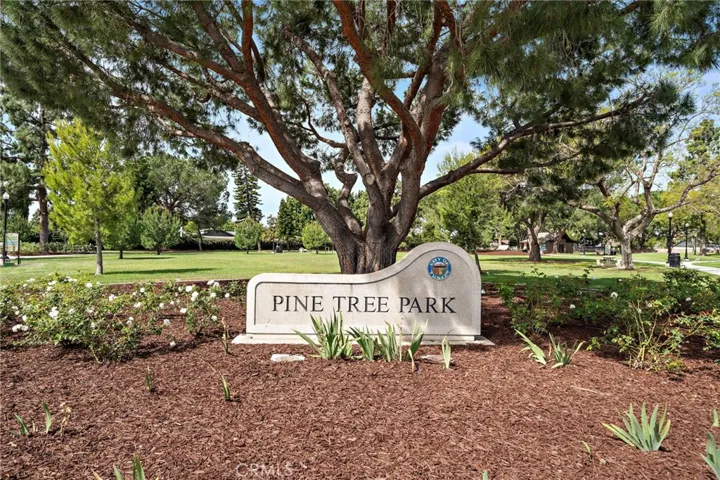 walking distance to , Pine Tree Park