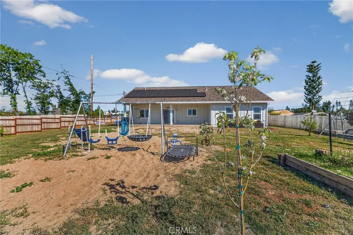 young fruit trees
