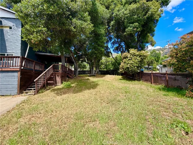 Left Side Yard looking from the lake side.