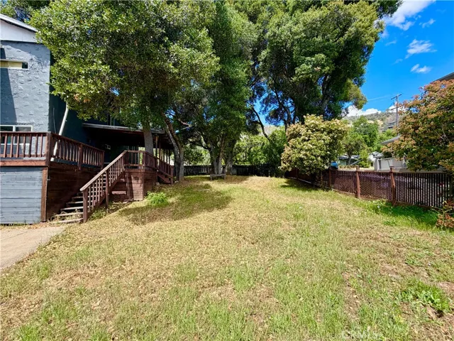 Left Side Yard looking from the lake side.