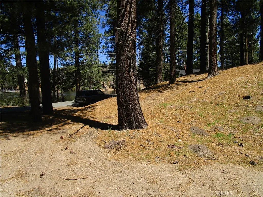 gallery-image 4