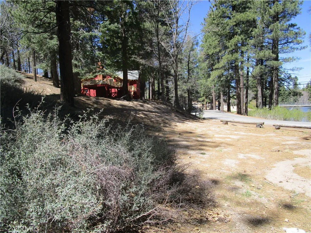 gallery-image 3