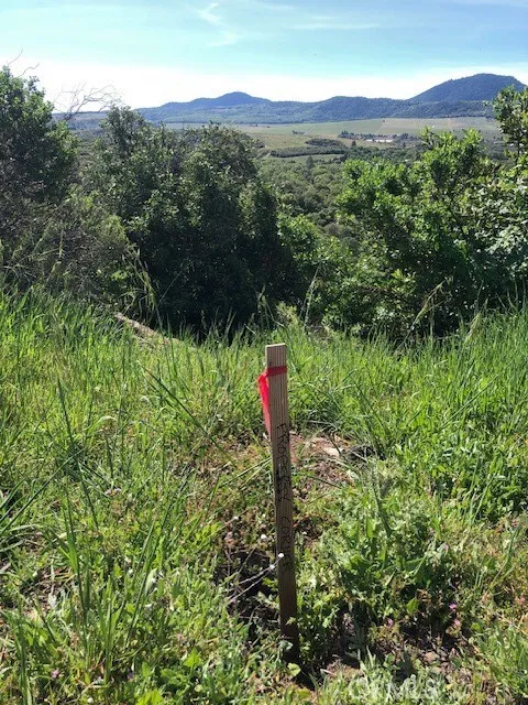 Professional Survey with corners marked.