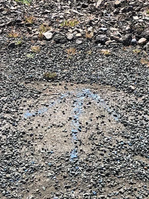 Blue arrow to show water location.