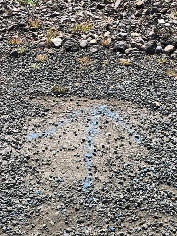 Blue arrow to show water location.