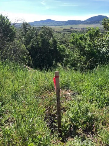 Professional Survey with corners marked.