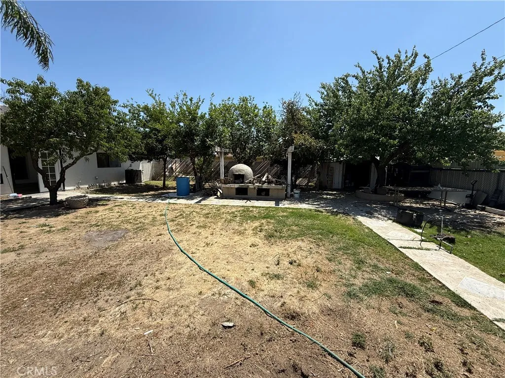 Back Yard