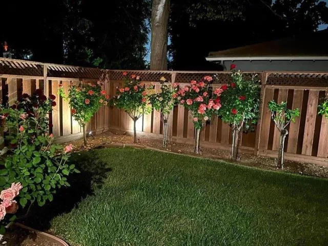 1701 S Springer Road, Mountain View, California 94040