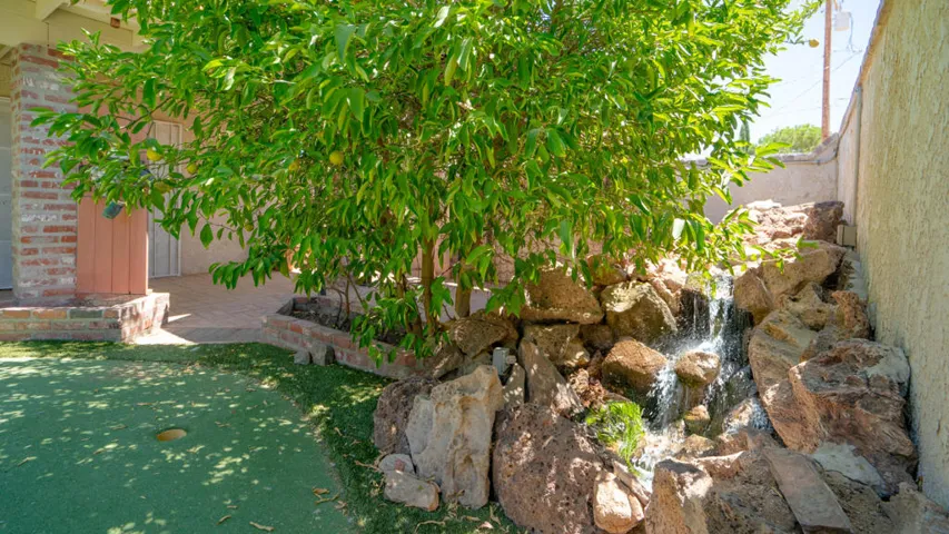 water feature